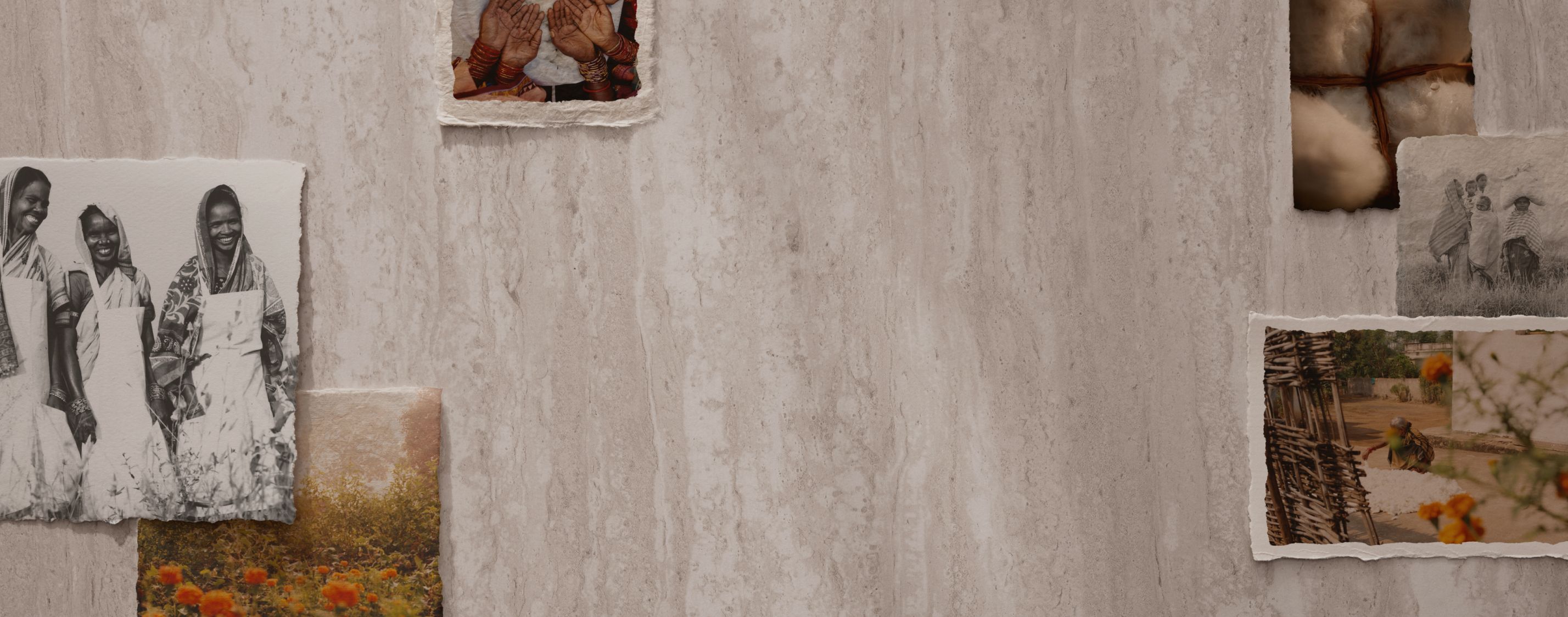 Sleep Better, Live Purely